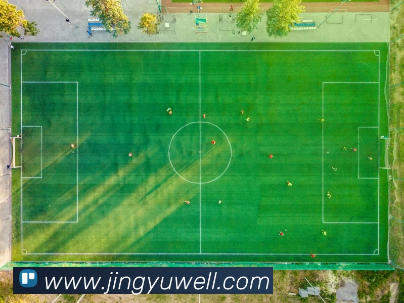 星空体育平台生态图